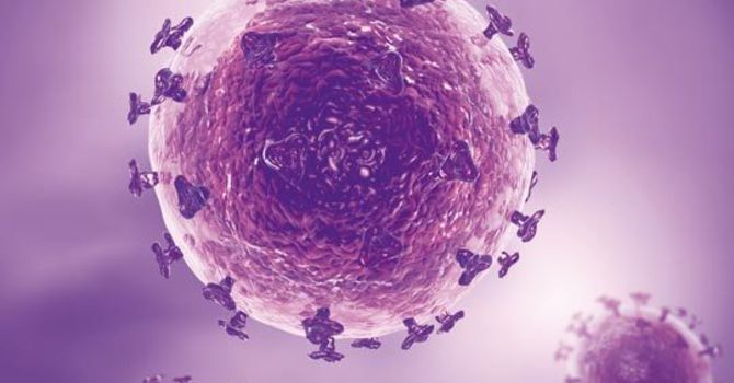 Supportive Oligonucleotide Technique (SOT) for EBV image