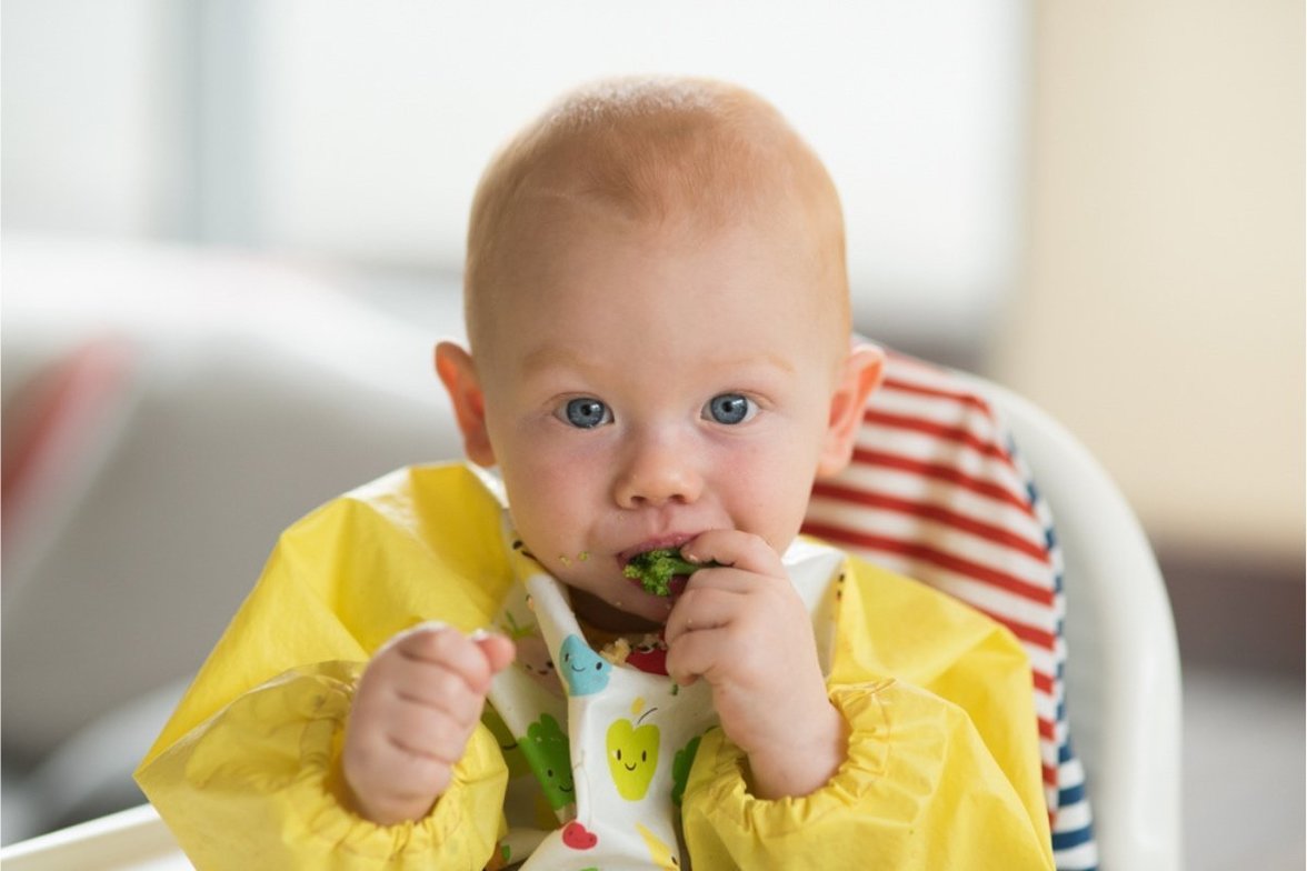 Signs of Poor Gut Health in Toddlers: What to Look For and How to Help