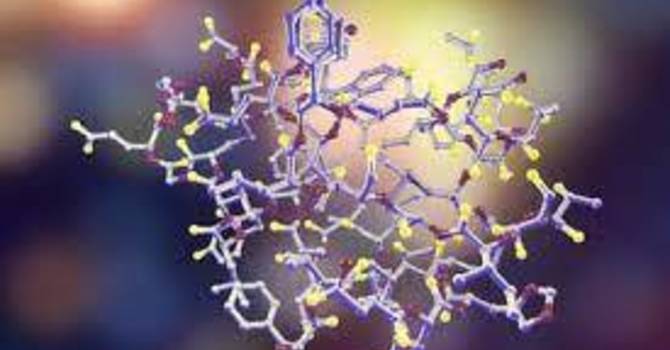 Ipamorelin Before and After image