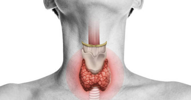 Semaglutide and Hypothyroidism image