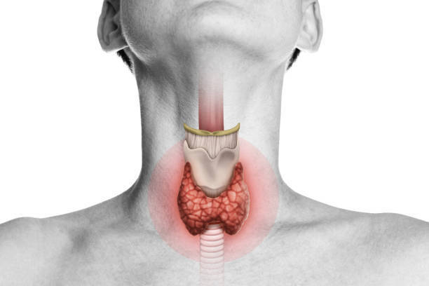 Semaglutide and Hypothyroidism