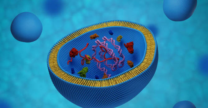 Exosome Microneedling image