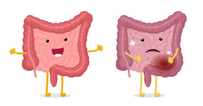 Tiny Health Gut Test image