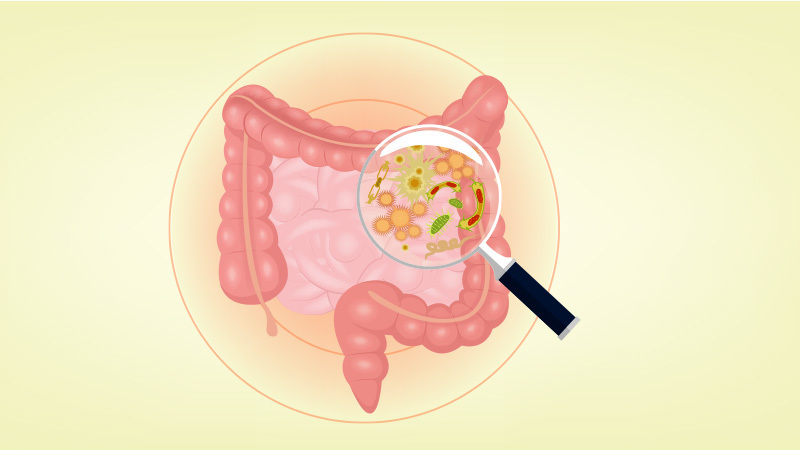 How to Restore Gut Health After Stomach Flu