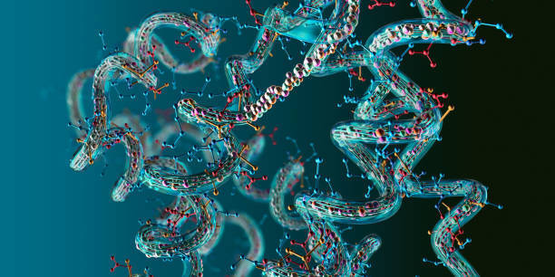 Thymosin Alpha 1 Benefits