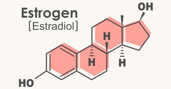 Menopause and Vaginal Odor image