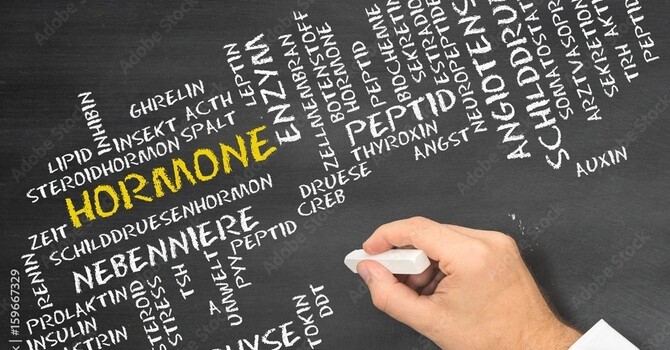 Saliva Hormone Testing image