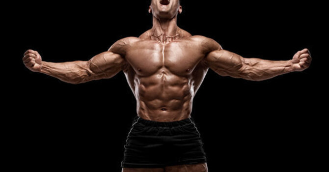 Does BPC-157 Build Msucle image