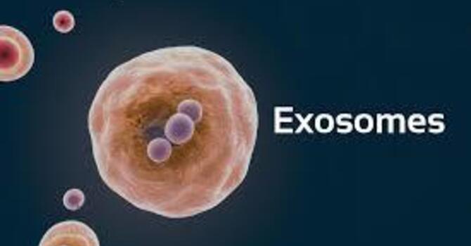 Exosome Under Eye image