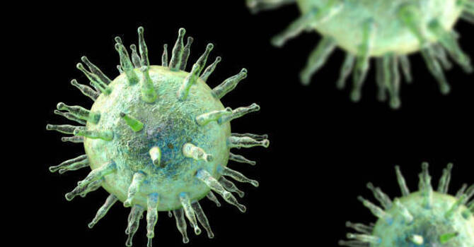 EBOO for EBV: A Powerful Therapy for Epstein-Barr Virus image