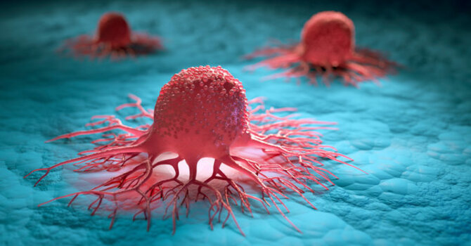 EBOO for Cancer Support image