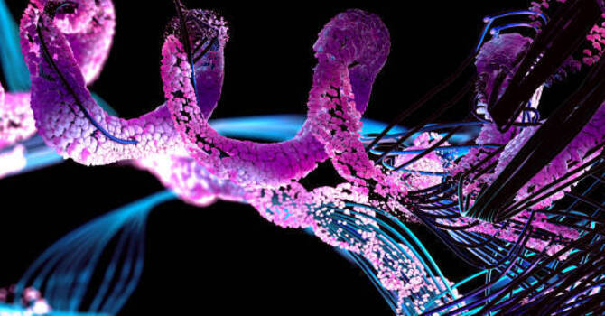 Peptide Therapy Encinitas image