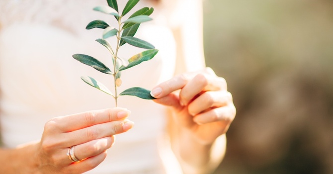 Preventing Muscle Wasting While on Semaglutide image